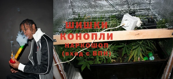 ешки Богданович