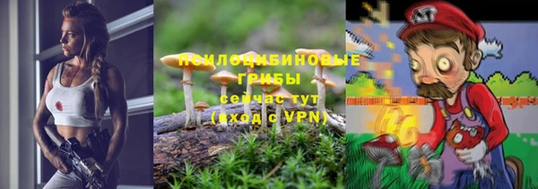 apvp Михайлов