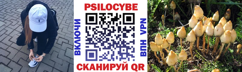 Галлюциногенные грибы Magic Shrooms  купить   MEGA ссылка  Белгород 